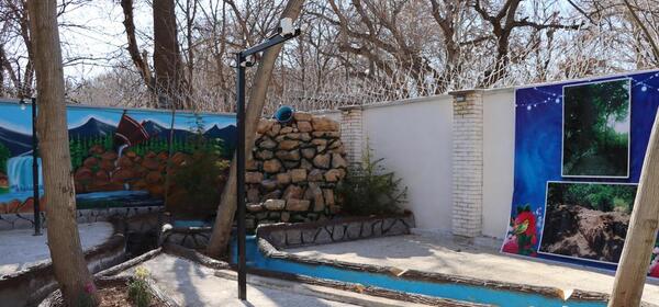 عکس باغ گل نرگس شیراز
