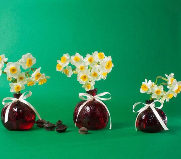 عکس های متحرک گل نرگس
