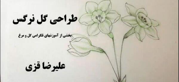عکس نقاشی گل نرگس شیراز