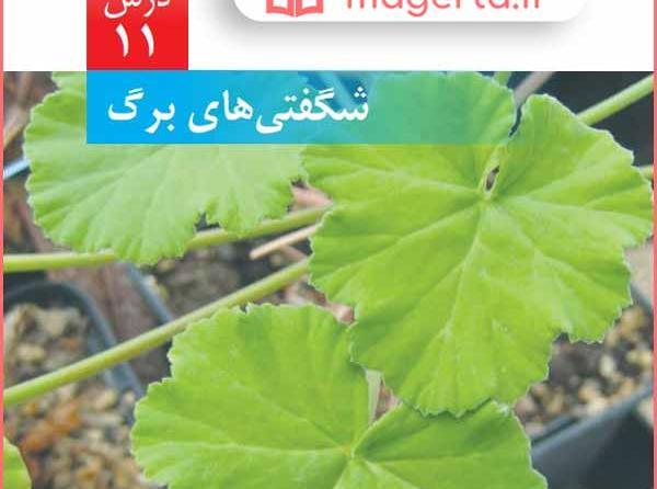 عکس صفحات کتاب علوم ششم