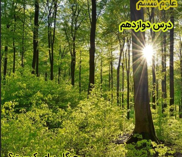 عکس صفحات کتاب علوم ششم