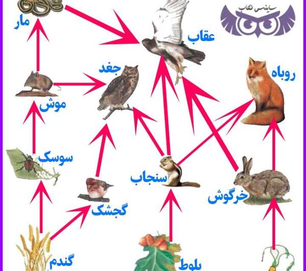 عکس کتاب علوم تجربی ششم