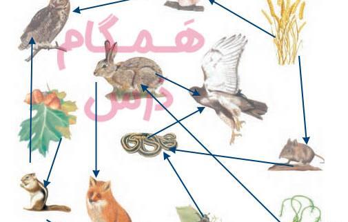عکس کتاب علوم تجربی ششم