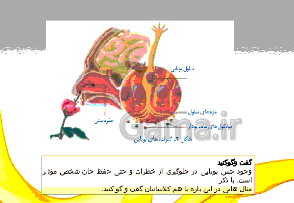 عکس های کتاب علوم هشتم فصل 5