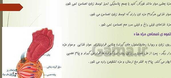عکس های کتاب علوم هشتم فصل 5