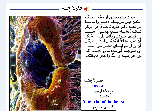 عکس های کتاب علوم هشتم فصل 5