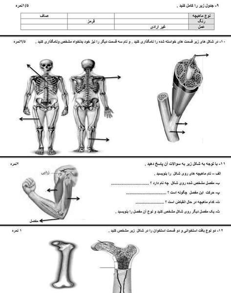 عکس های کتاب علوم هشتم فصل 5
