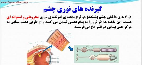 عکس های کتاب علوم هشتم فصل 5