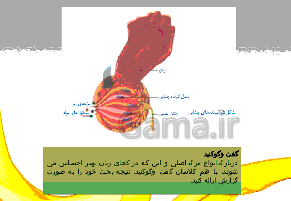 عکس های کتاب علوم هشتم فصل 5