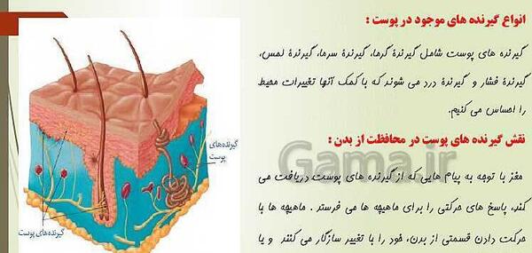 عکس های کتاب علوم هشتم فصل 5