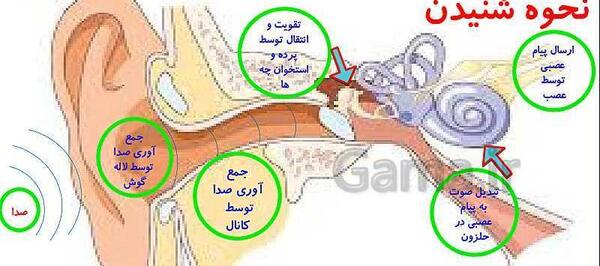 عکس های کتاب علوم هشتم فصل 5