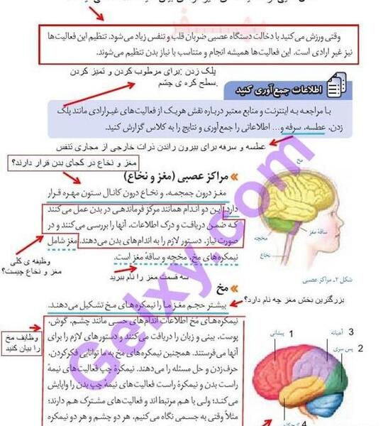 عکس صفحات کتاب علوم هشتم