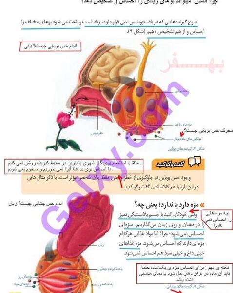 عکس صفحات کتاب علوم هشتم