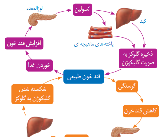 عکس صفحات کتاب علوم هشتم