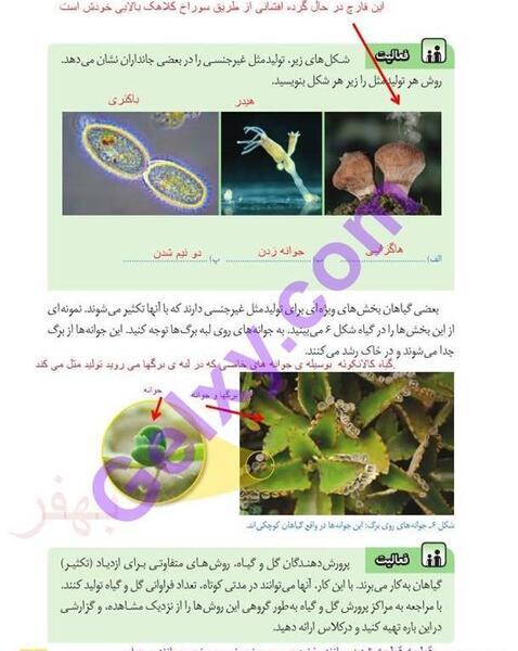 عکس صفحات کتاب علوم هشتم