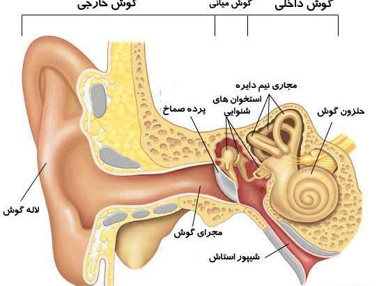 عکس صفحات کتاب علوم هشتم