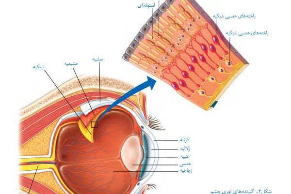 عکس های کتاب علوم هشتم