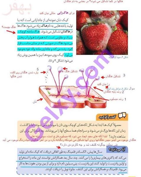 عکس کتاب علوم پایه هشتم