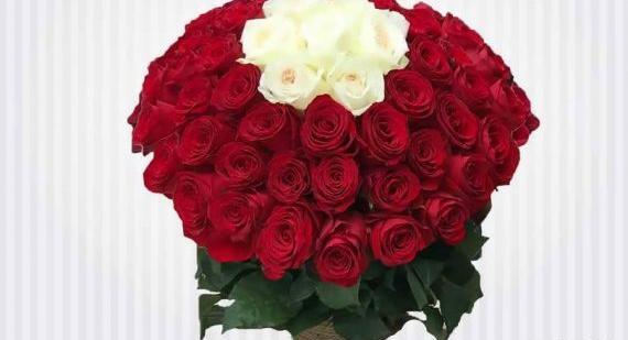 عکس هایی گل های زیبا