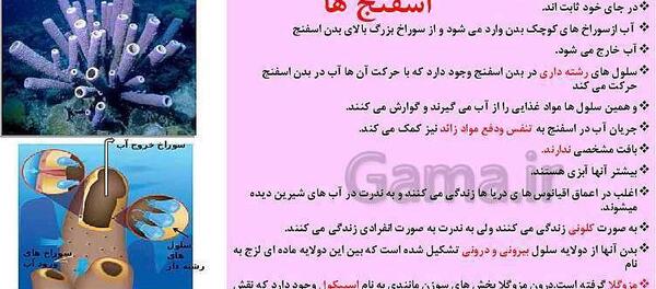 دانلود عکس کتاب علوم نهم