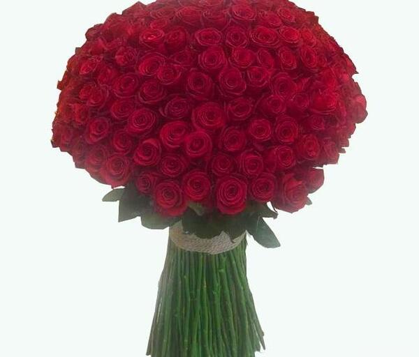 عکس گل های رز خوشگل و زیبا
