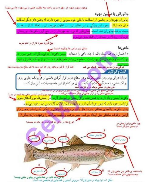 عکس ماهی در کتاب علوم نهم