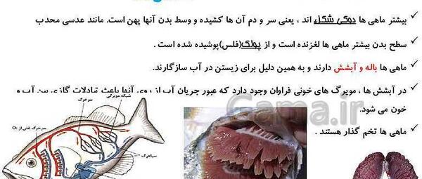 عکس ماهی در کتاب علوم نهم