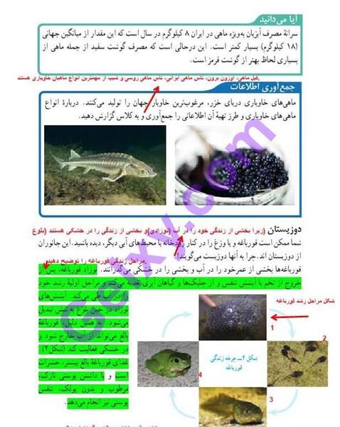 عکس ماهی در کتاب علوم نهم