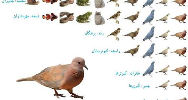 عکس های داخل کتاب علوم نهم