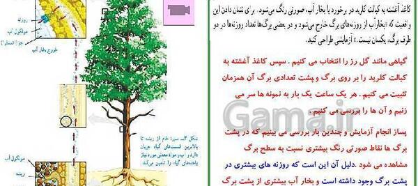 عکس های داخل کتاب علوم نهم