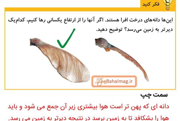 عکس کتاب علوم پنجم دبستان