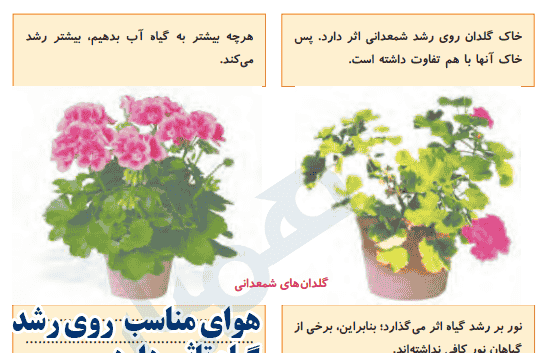 عکس کتاب علوم پنجم دبستان