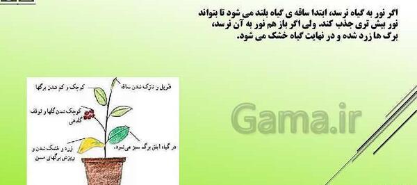 عکس کتاب علوم پنجم ابتدایی