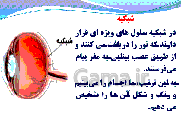 عکس چشم کتاب علوم پنجم