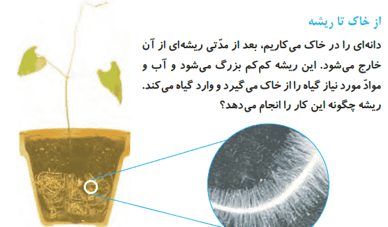 عکس صفحات کتاب علوم پنجم