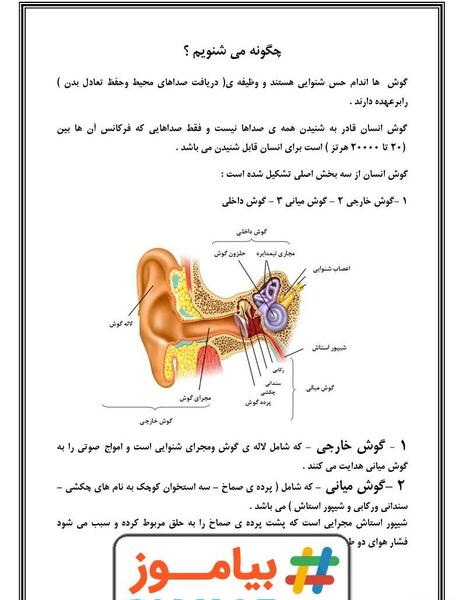 عکس گوش کتاب علوم پنجم