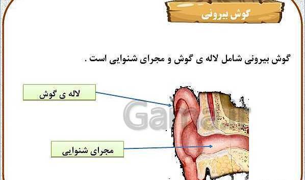 عکس گوش کتاب علوم پنجم