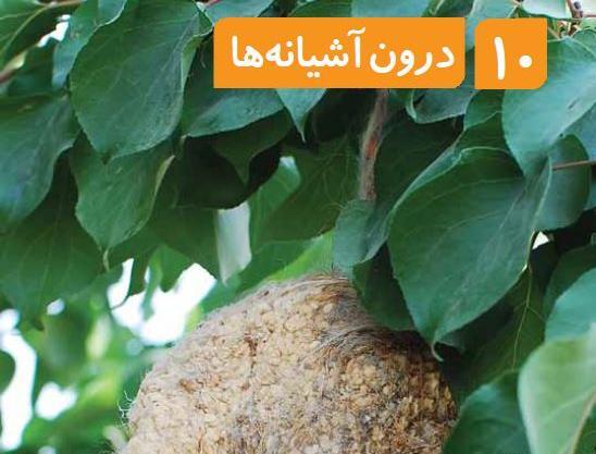 عکس کتاب علوم دوم دبستان