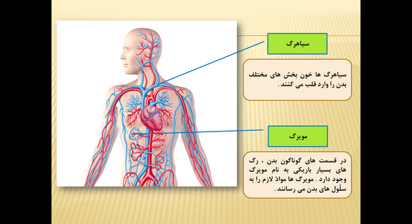 عکس کتاب علوم کلاس چهارم