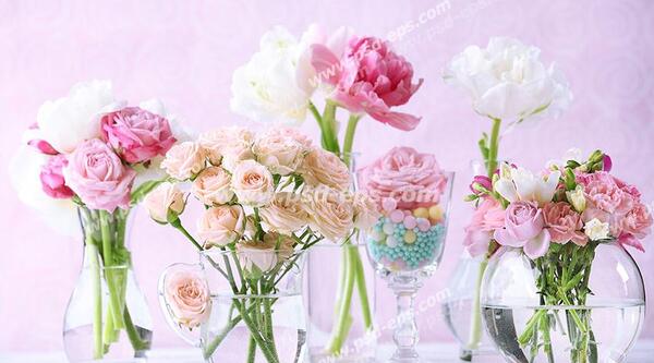 عکس گلدان با گل های زیبا