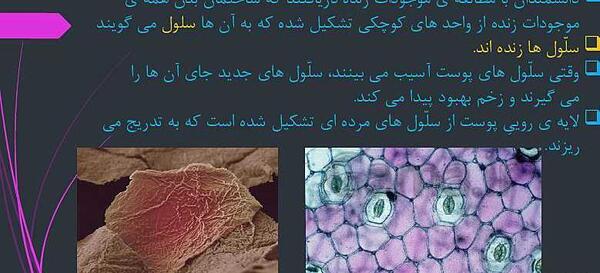 عکس سلول کتاب علوم چهارم