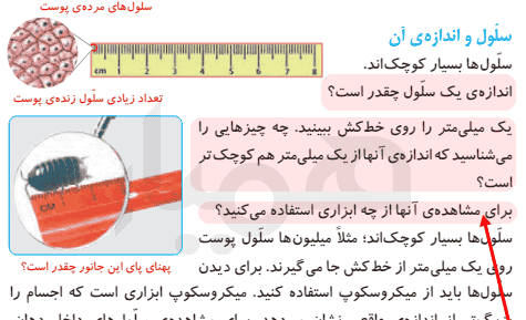 عکس سلول کتاب علوم چهارم