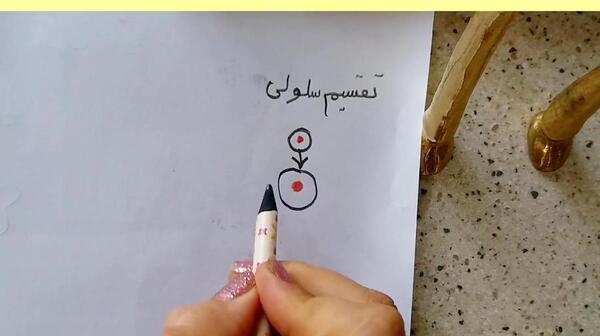 عکس سلول کتاب علوم چهارم