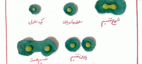 عکس سلول کتاب علوم چهارم