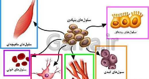 عکس سلول کتاب علوم چهارم