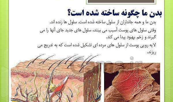 عکس سلول کتاب علوم چهارم