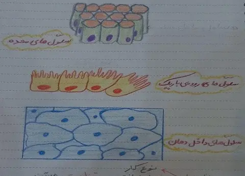 عکس سلول کتاب علوم چهارم