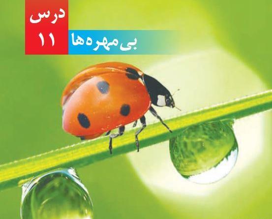 عکس صفحات کتاب علوم چهارم