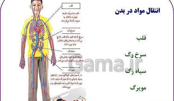 عکس های کتاب علوم چهارم