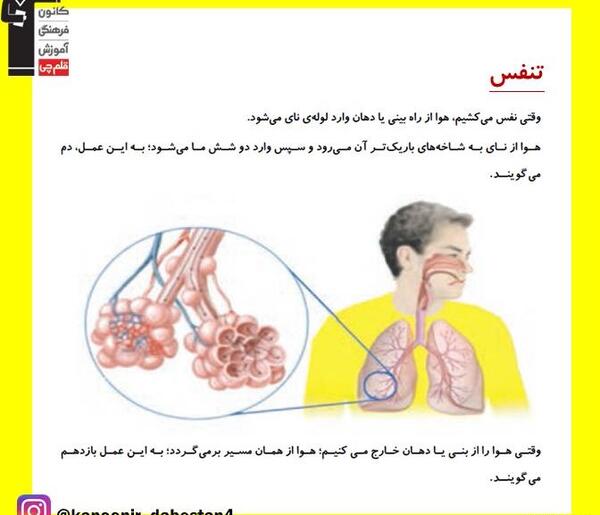 عکس های کتاب علوم چهارم